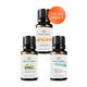 Vivaldi Home 3x10 ml Kavun, Okaliptus, Okyanus Esintisi Uçucu Yağ Buhurdanlık Yağı