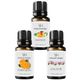 Vivaldi Home 3x10 ml Mango, Portakal, Şakayık Uçucu Yağ Buhurdanlık Yağı