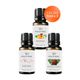 Vivaldi Home 3x10 ml Mango, Sakura, Sandal Ağacı Uçucu Yağ Buhurdanlık Yağı