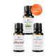 Vivaldi Home 3x10 ml Okaliptus, Şakayık, Sakura Uçucu Yağ Buhurdanlık Yağı