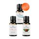 Vivaldi Home 3x10 ml Okyanus Esintisi, Sakura, Sandal Ağacı Çubuklu Oda Kokusu
