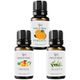 Vivaldi Home 3x10 ml Portakal Mango Okaliptus Uçucu Yağ Buhurdanlık Yağı