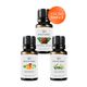 Vivaldi Home 3x10 ml Sandal Ağacı Mango Okaliptus Uçucu Yağ Buhurdanlık Yağı
