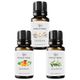 Vivaldi Home 3x10 ml Vanilya Mango Okaliptus Uçucu Yağ Buhurdanlık Yağı