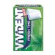 Vivident 22,4 gr Nane Aromalı Sakız