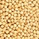 Yazar 1000 gr Kavrulmuş Fındık İçi