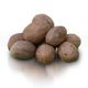Zencefil Organik 500 gr Tane Muskat