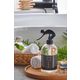 Znp Home Rainforest 500 ml Oda Parfümü