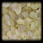 100 gr Sandaloz Sakızı