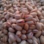 3 kg Siirt Fıstığı