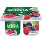 Activia Probiyotikli Orman Meyveli 4x100 gr Yoğurt