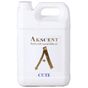 Akscent Tüm Koku Makinelerine Uyumlu Cute 5 lt Koku Makinesi Koku Kartuşu Esansı