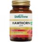 Aksu Vital 42 gr 60 Kapsül Hawthorn Alıç Yaprağı