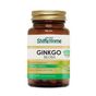 Aksu Vital 620 gr Ginkgo Biloba Ginko Biloba Kapsül
