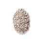 Aktar Store 100 gr Aspir Tohumu