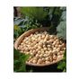 Aktarcınız 250 gr Giresun Fındık