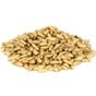 Aktarzane 100 gr Güner İçi Çam Fıstığı