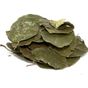 Aktarzane 250 gr Avakado Yaprağı