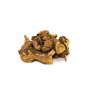 Aktarzane 250 gr Ravent Kökü