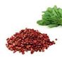 Aktarzane 30 gr Ispanak Tohumu