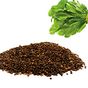 Aktarzane 30 gr Roka Tohumu