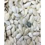 Aktarzane 500 gr Kabak Çekirdeği İçi