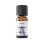 Alfheim 10 ml Karanfil Uçucu Yağı
