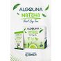 Algolina 60 gr Matcha Çayı
