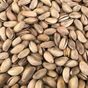 Antep Fıstığı 150 Gr
