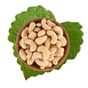 Antik Kuruyemiş 300 gr Çiğ Kaju