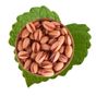 Antik Kuruyemiş 500 gr Anaçıtlak Siirt Fıstığı