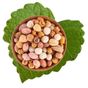 Antik Kuruyemiş 500 gr Karışık Çerez Duble