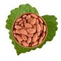 Antik Kuruyemiş Kavrulmuş Badem İçi 500 gr