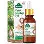 Arifoğlu 20 ml Kabak Çekirdeği Yağı