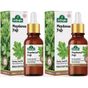 Arifoğlu 2x20 ml Maydanoz Yağı