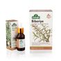 Arifoğlu Biberiye Yağı 20 ml + 20'li Biberiye Çayı