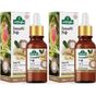 Arifoğlu Zencefil Yağı 20 + 20ml 2 Li Set