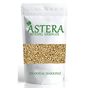 Astera 100 gr Tane Beyaz Sorgum