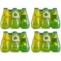 Avşar 200 ml Kivi Limon C Plus Maden Suyu
