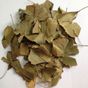 Ayvalık Baharat 100 gr Ginkgo Biloba Yaprağı
