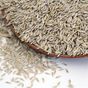 Ayvalık Baharat 100 gr Kıvırcık Tohumu