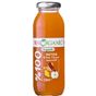 Benorganic 250 ml Organik Detox Elma Tarçın Zencefil Suyu