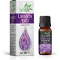 Beralife 20 ml Lavanta Yağı
