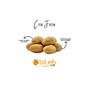 Bileb Serinhisar 1 kg Çıtır Fıstık