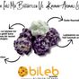 Bileb Serinhisar 250 gr Böğürtlen ve Kaymak Aromalı Leblebi