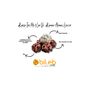 Bileb Serinhisar 250 gr Nar ve Kaymak Aromalı Leblebi