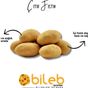 Bileb Serinhisar 400 gr Çıtır Fıstık