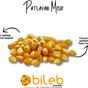 Bileb Serinhisar 400 gr Patlayan Mısır