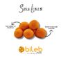 Bileb Serinhisar 400 gr Soslu Leblebi
