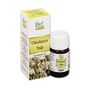 Bio Vitals 20 ml Okaliptus Yağı